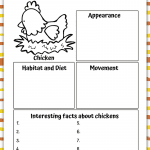 chicken worksheet