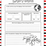 ladybug worksheet