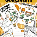 life cycle of a pumpkin worksheets