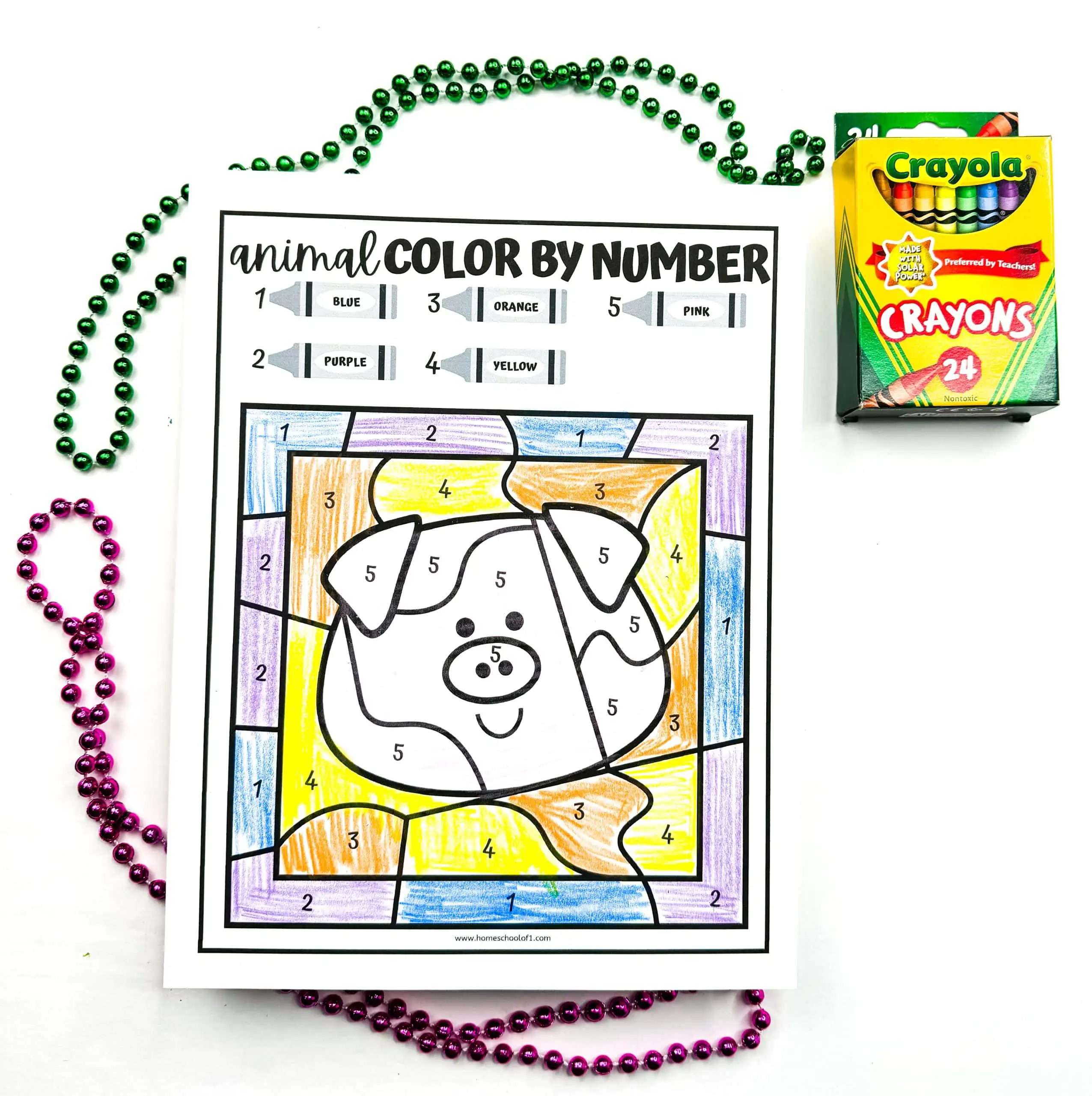 pig color by number printable