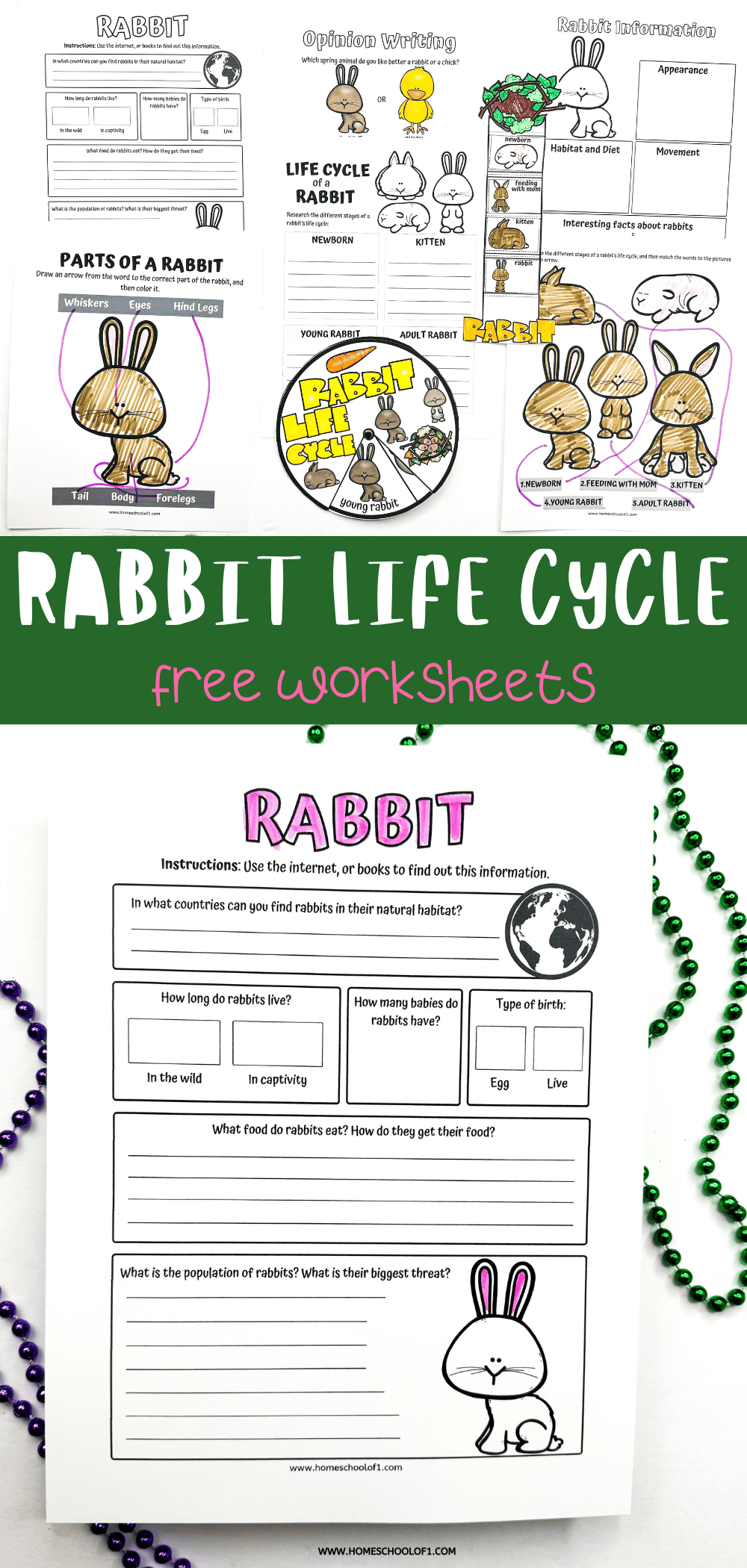 Free Rabbit Life Cycle Worksheet For Kids