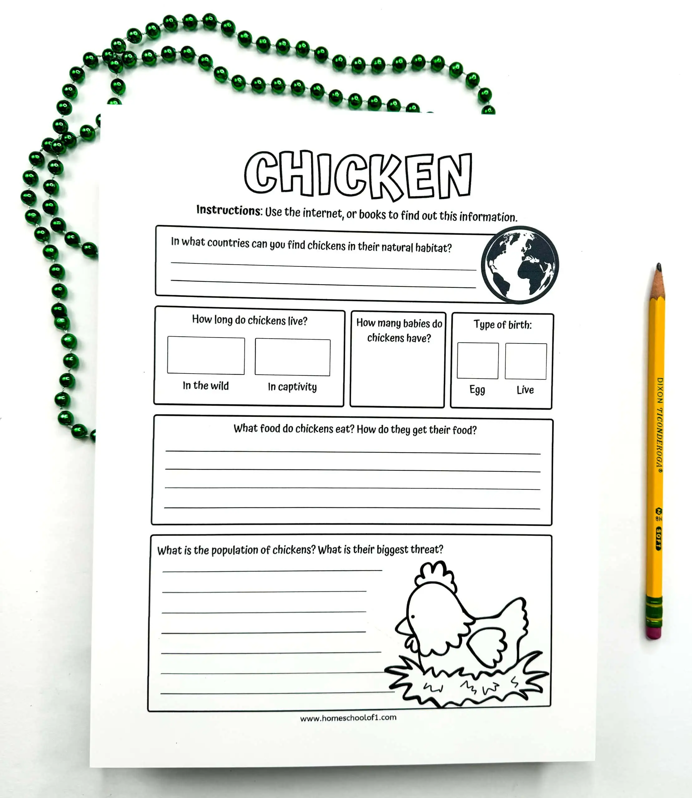 chicken worksheet for kids