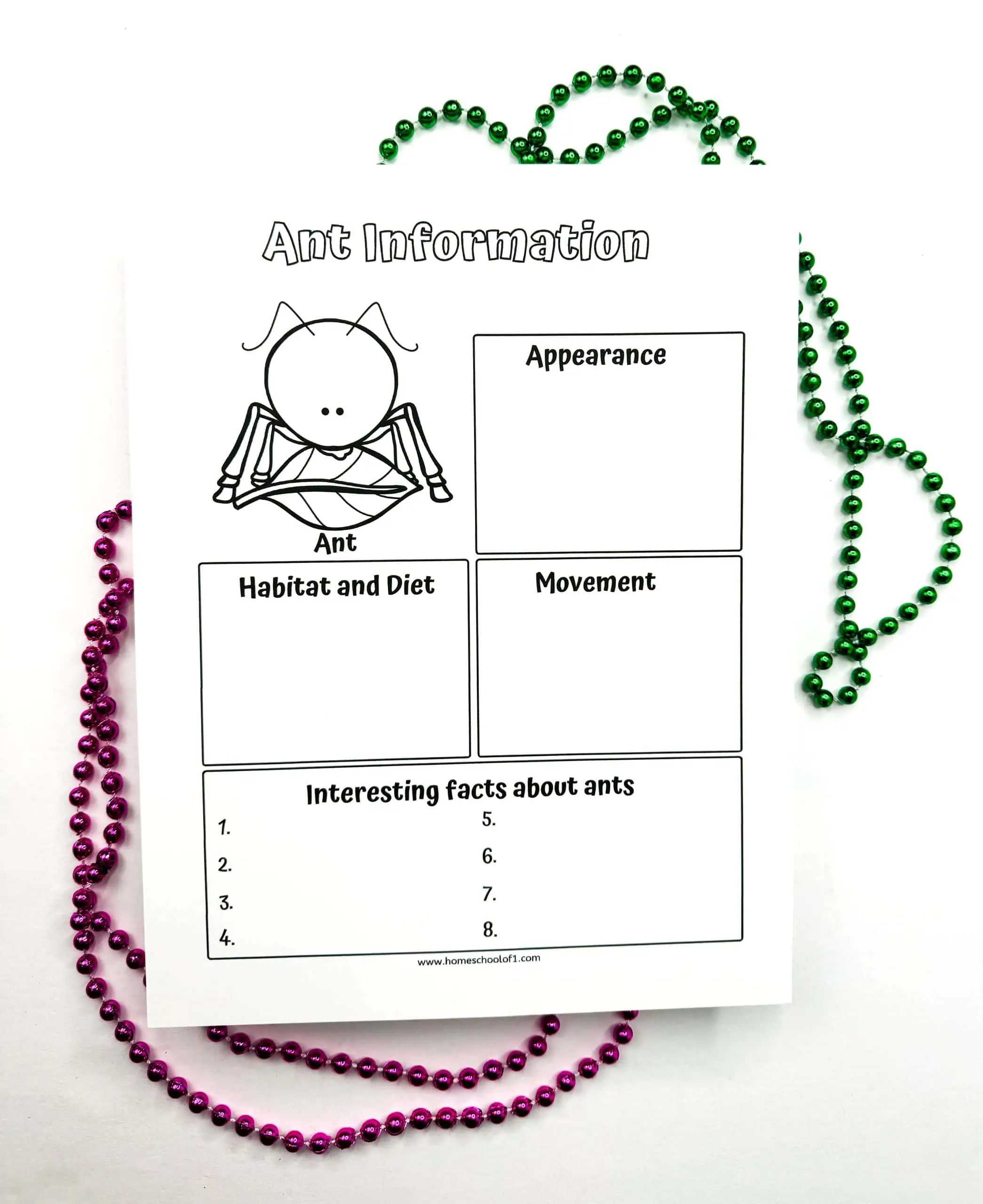 ant information worksheet