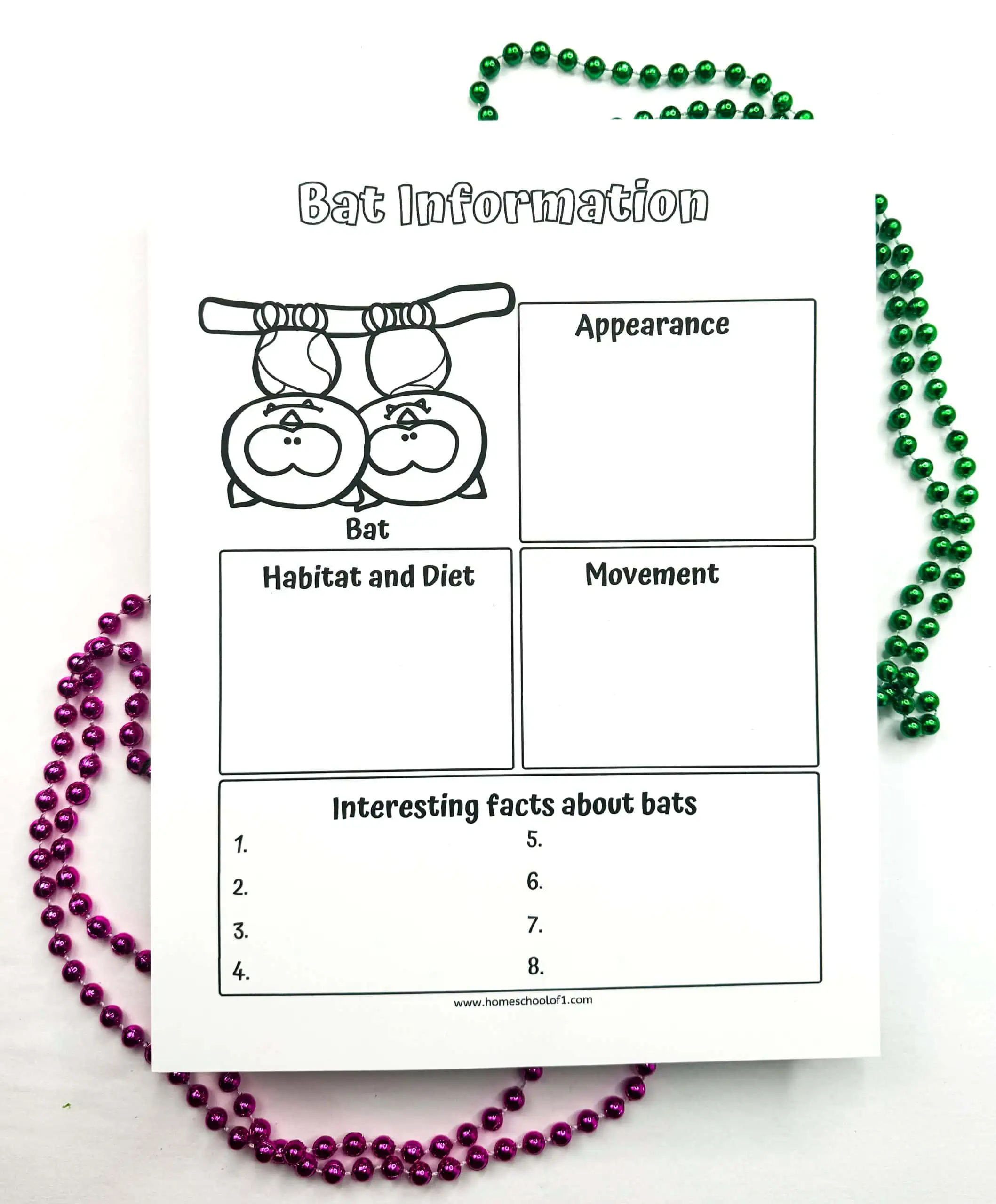 bat information worksheet