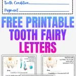 The top half shows a 'Tooth Fairy Certificate' with fields for Name, Date, Age, Tooth Condition, and Payment, beside a smiling tooth with a crown and wand. Below, two sample letters from 'Twinkle the Tooth Fairy' are addressed to a child congratulating them on losing their first tooth, with cartoon images of a tooth, toothbrush, and the fairy.