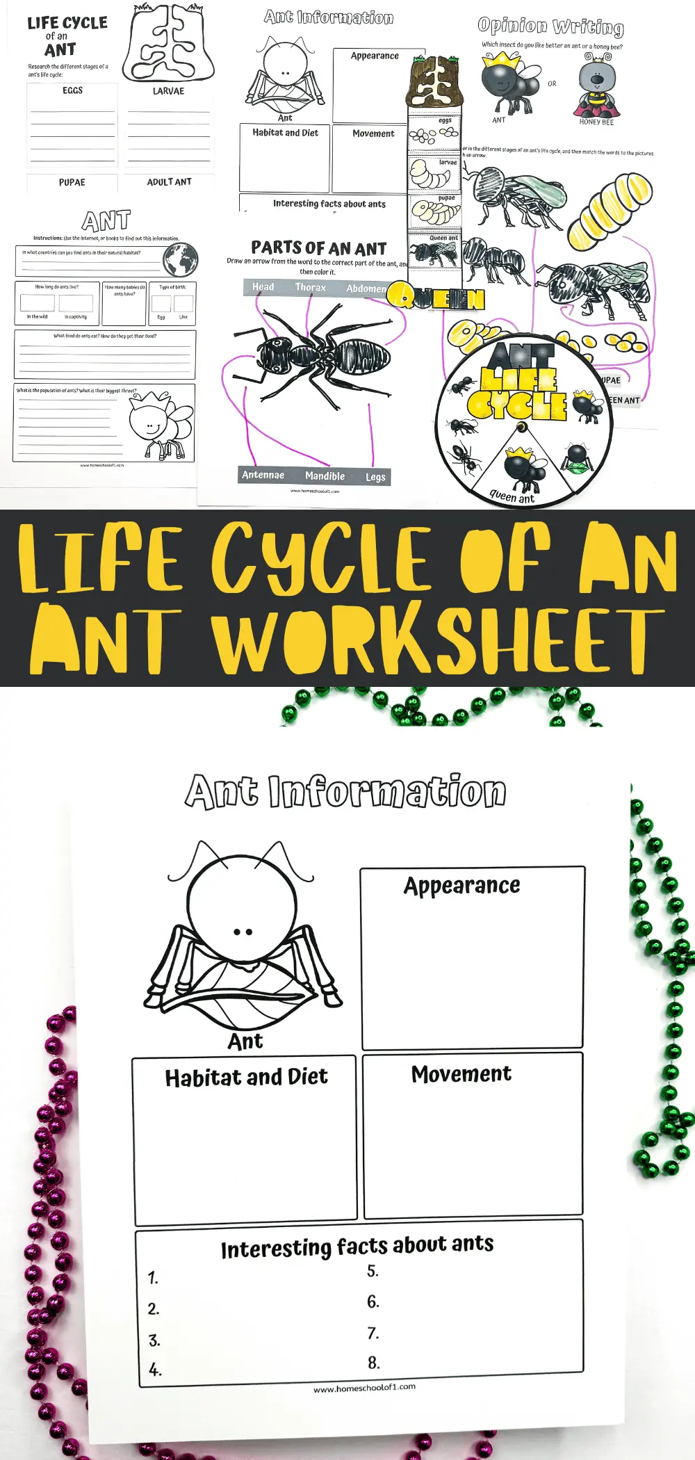 Educational worksheets for children showcasing the life cycle of an ant with labeled diagrams and activities to fill in ant facts and compare ants with honeybees