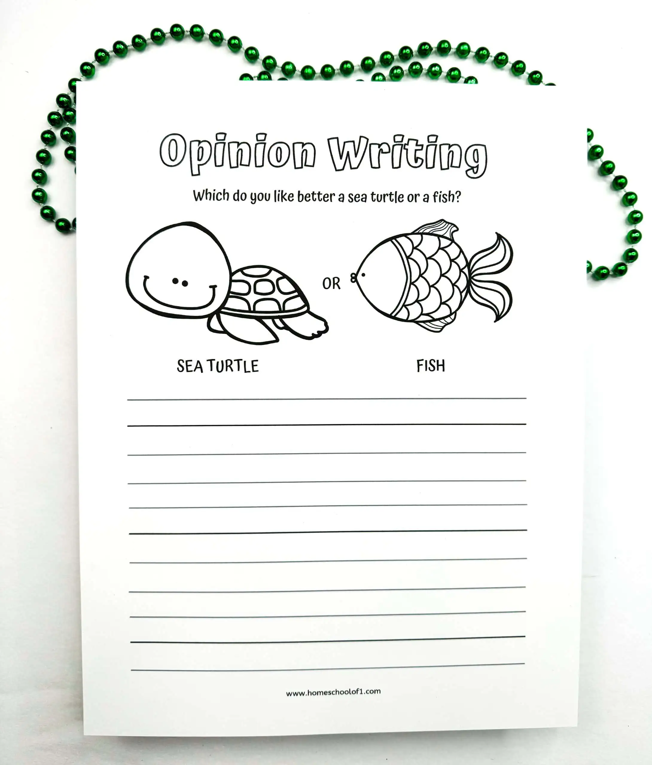 sea turtle opinion writing