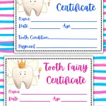 tooth fairy certificates