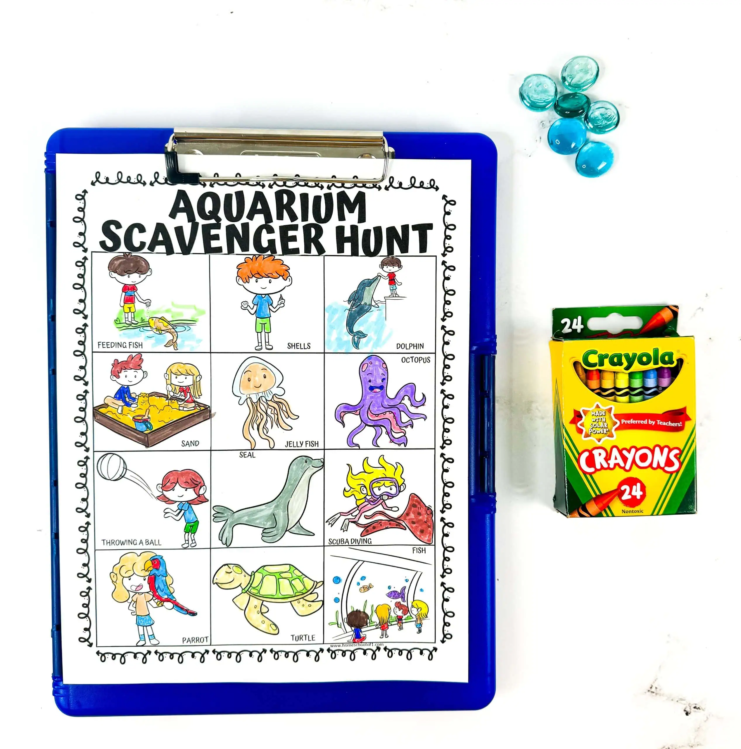 aquarium scavenger hunt