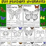 butterfly coloring pages