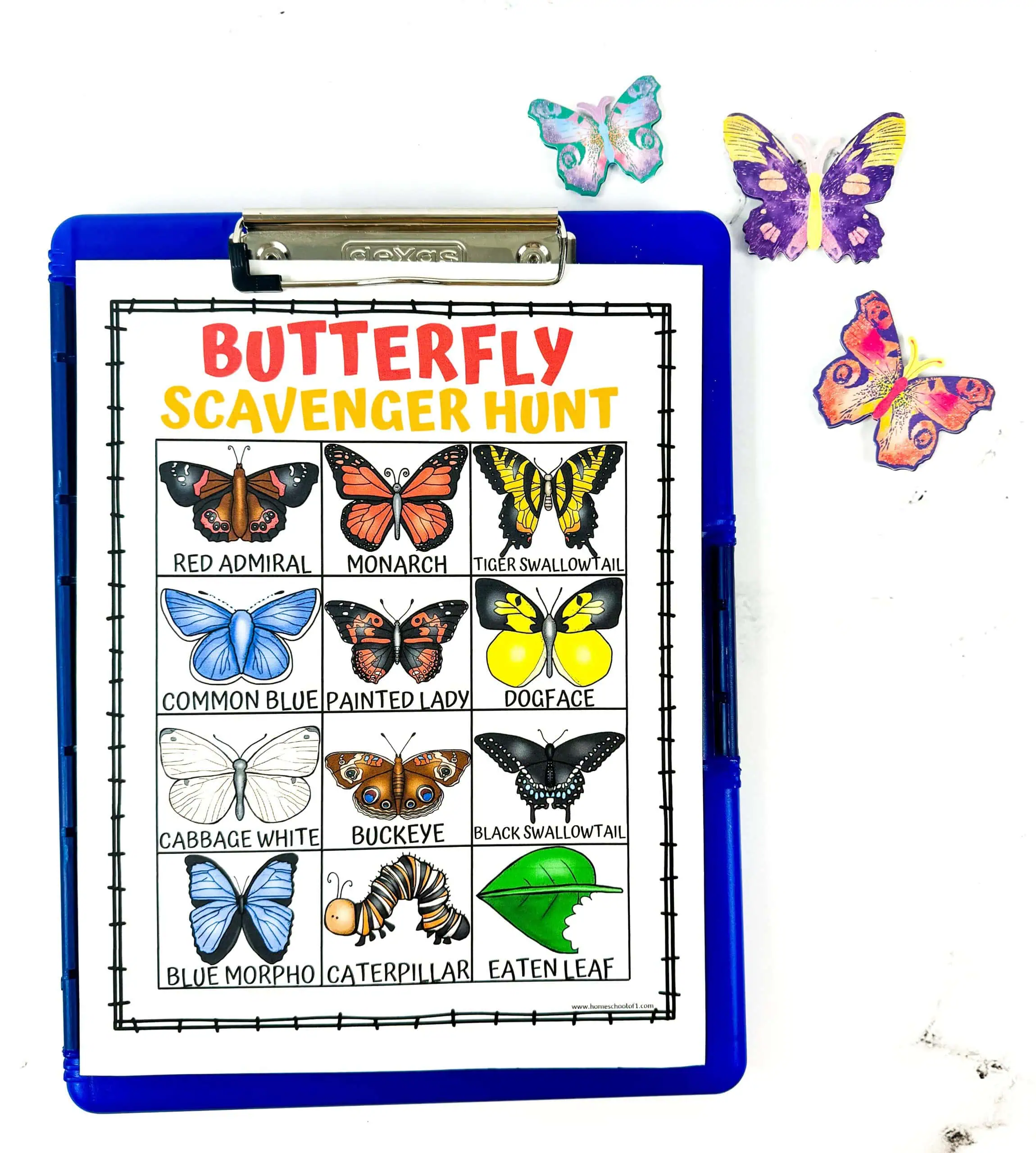 butterfly scavenger hunt