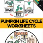 free printable pumpkin worksheets