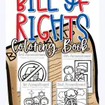 BILL OF RIGHTS Web Story Poster