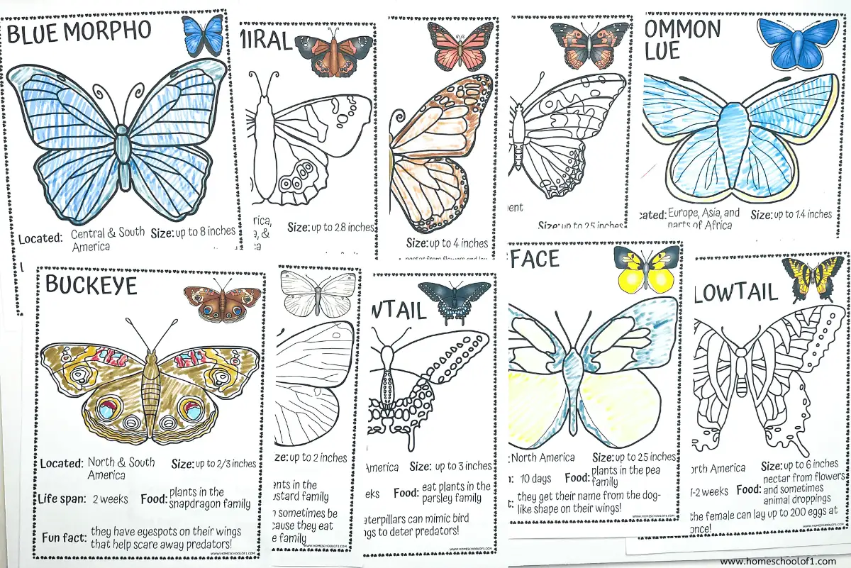 butterfly coloring pages free