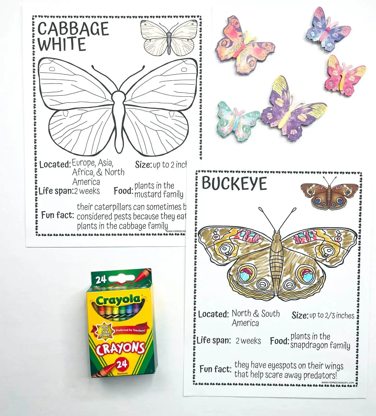 butterfly coloring pages printable