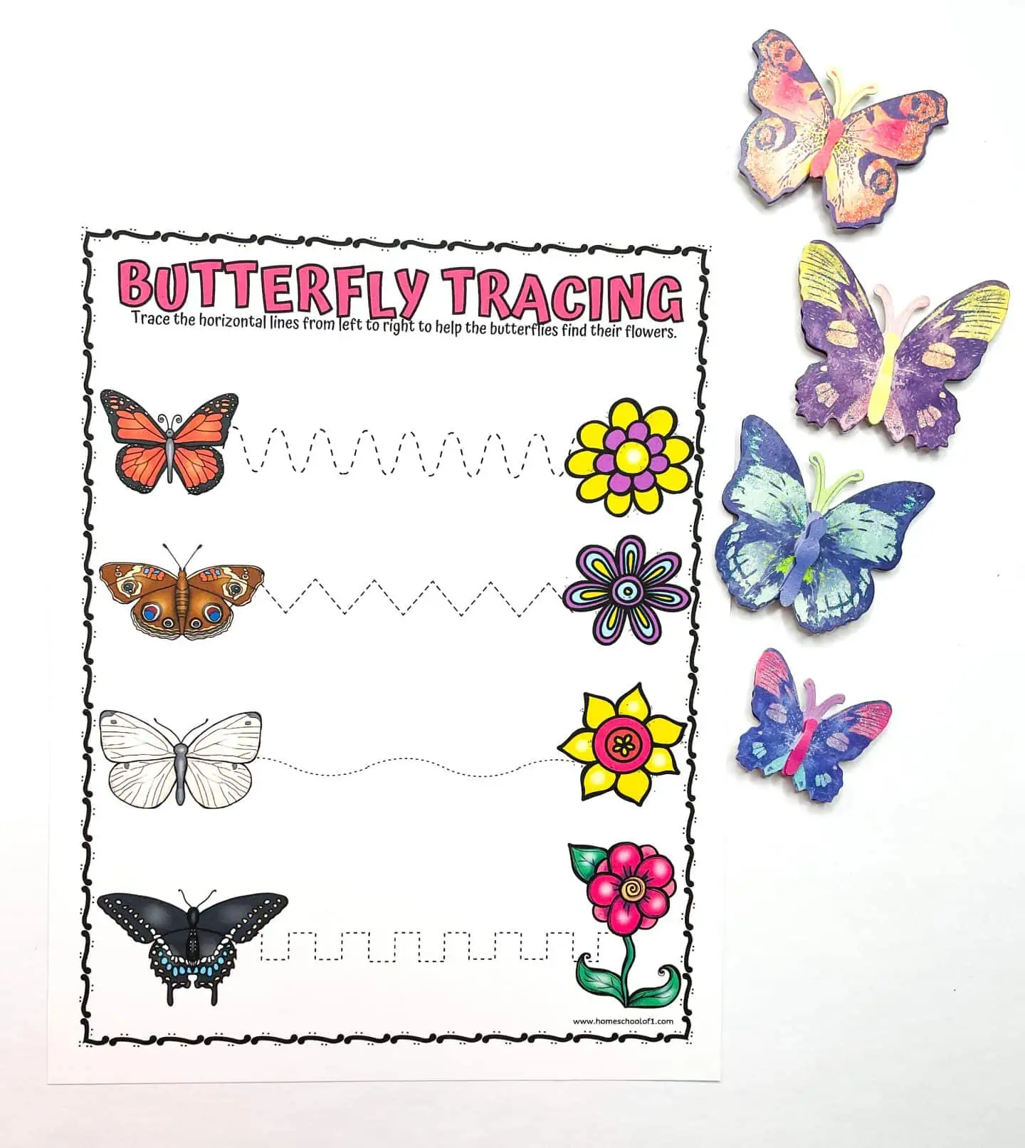 butterfly tracing