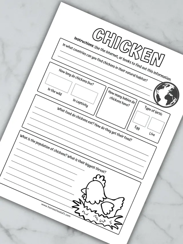 chicken life cycle worksheets