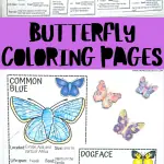 free butterfly coloring pages