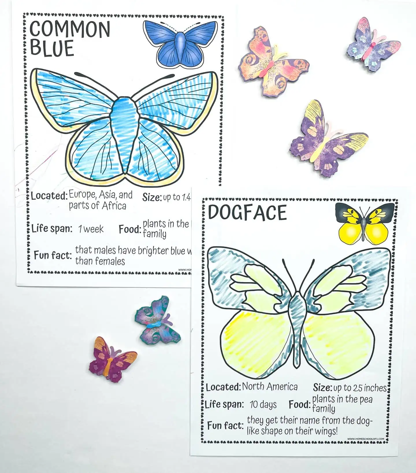 free butterfly coloring pages printable