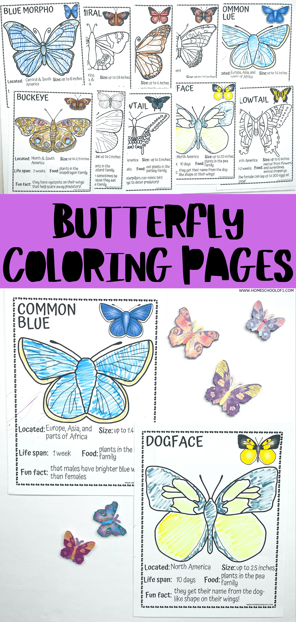 free-printable-butterfly-coloring-pages-10-types-of-butterflies