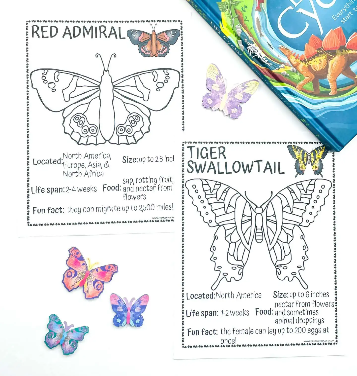 free printable butterfly coloring sheets