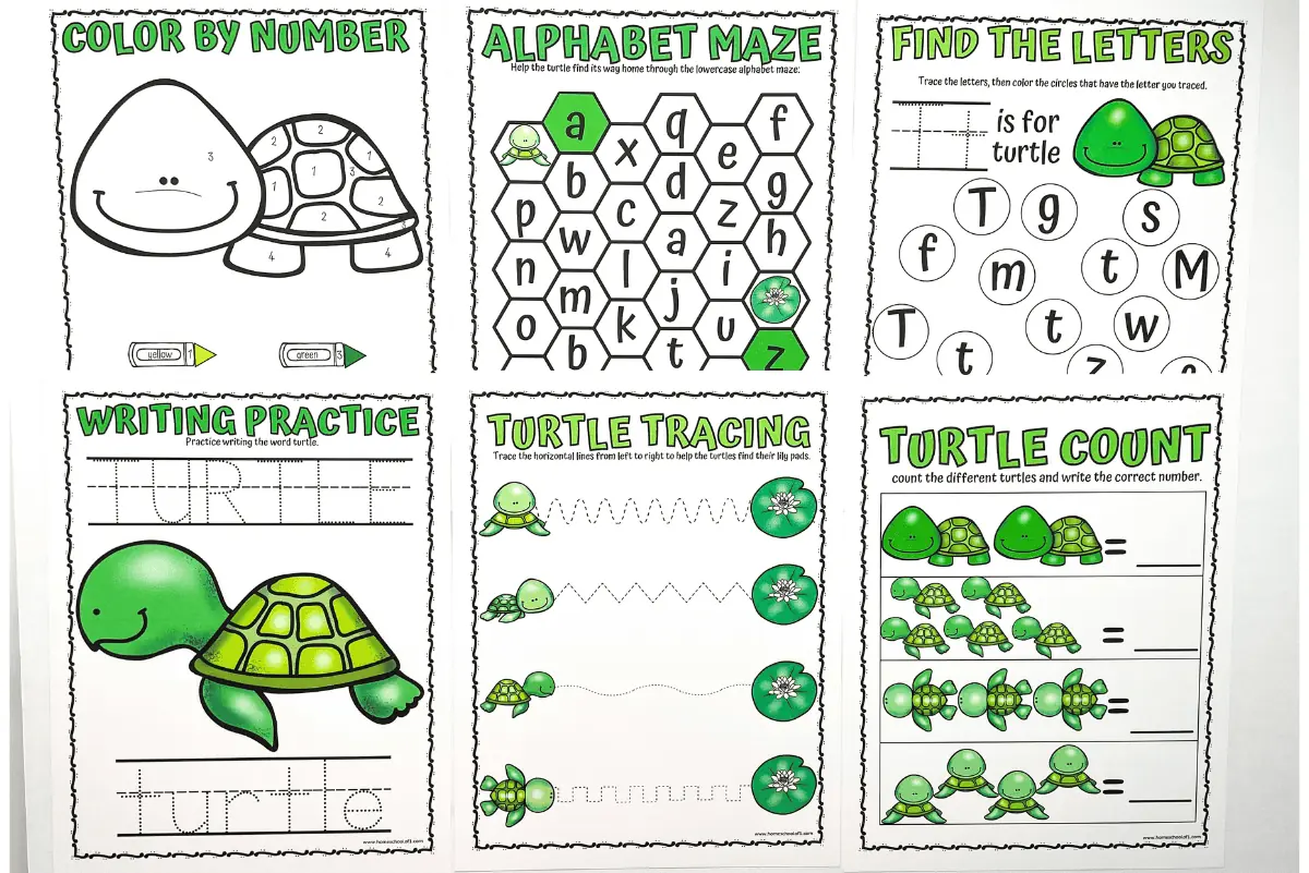 free printable turtle worksheets