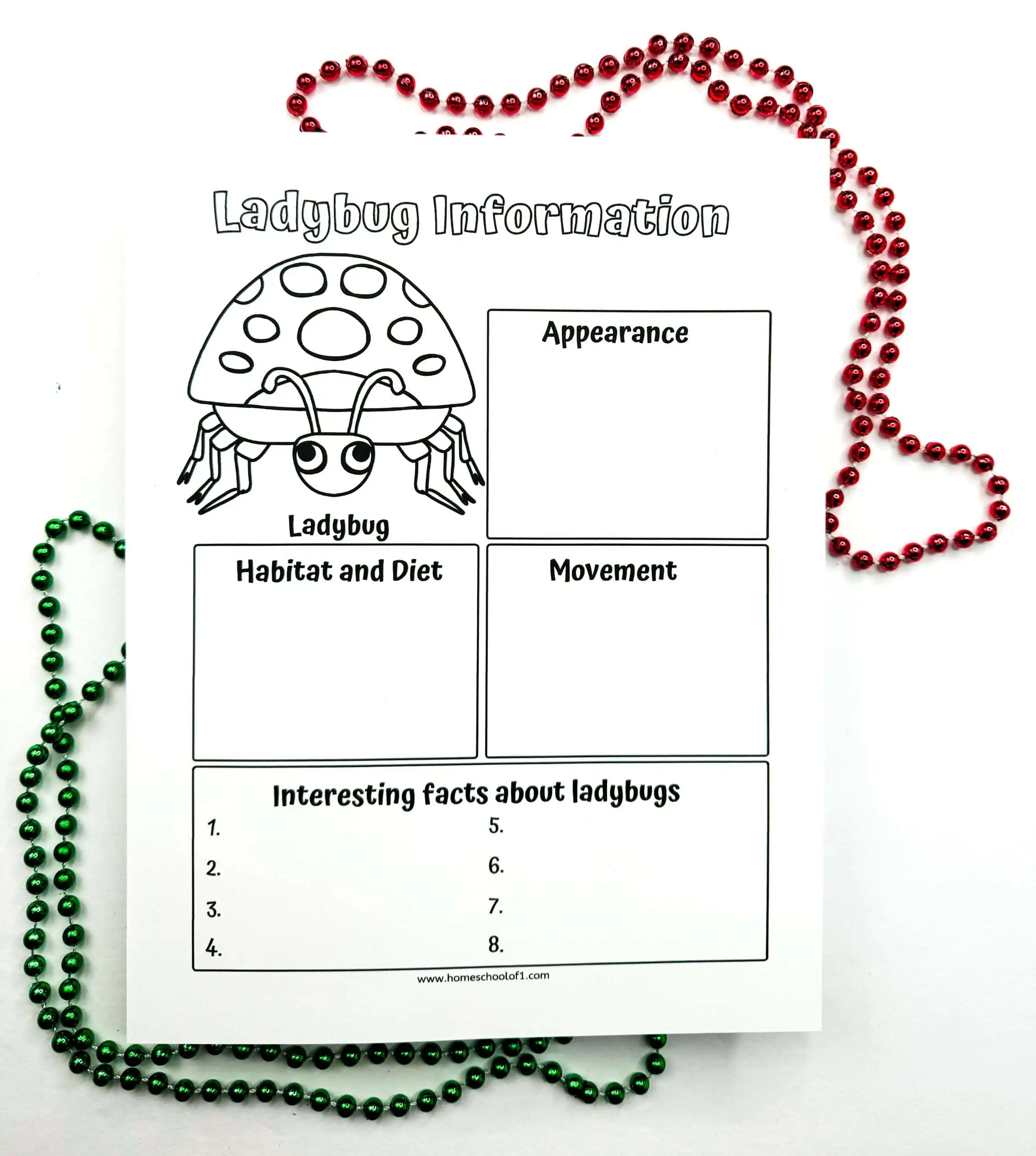 ladybug information worksheet