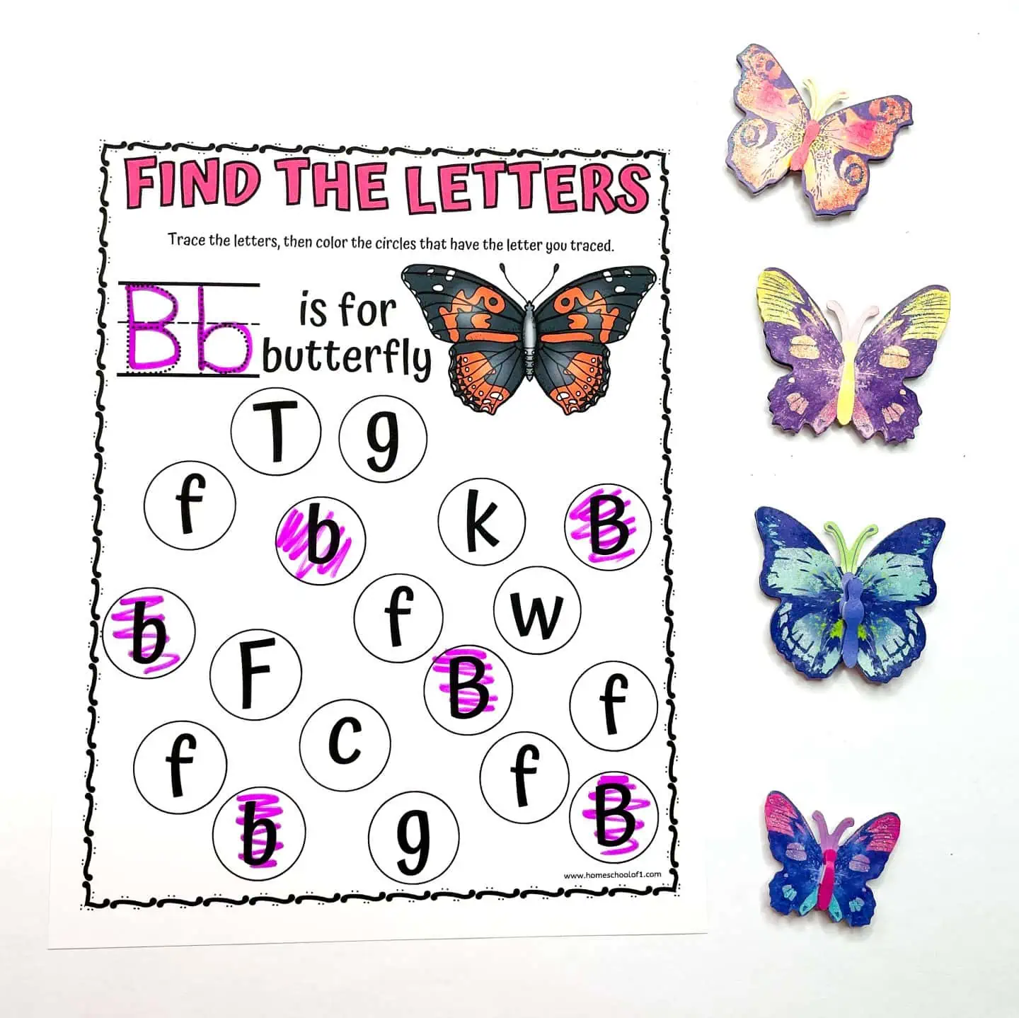 letter b butterfly find the letter