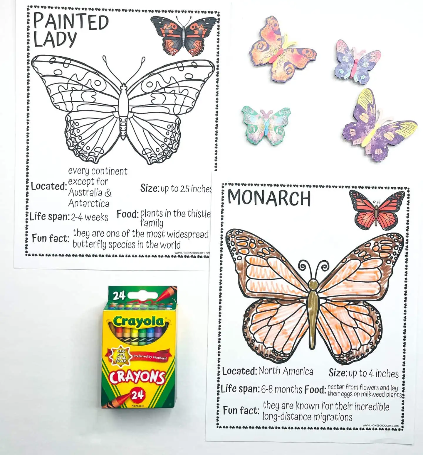 monarch butterfly coloring page