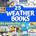 weather books for preschoolers