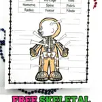 FREE SKELETAL SYSTEM LABELING WORKSHEET