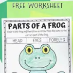 PARTS OF FROG WORKSHEET