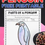 body parts of penguin worksheet