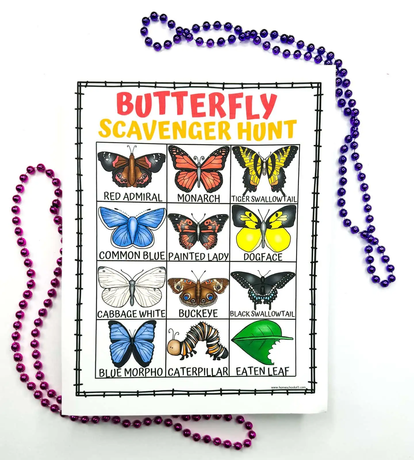 butterfly farm scavenger hunt