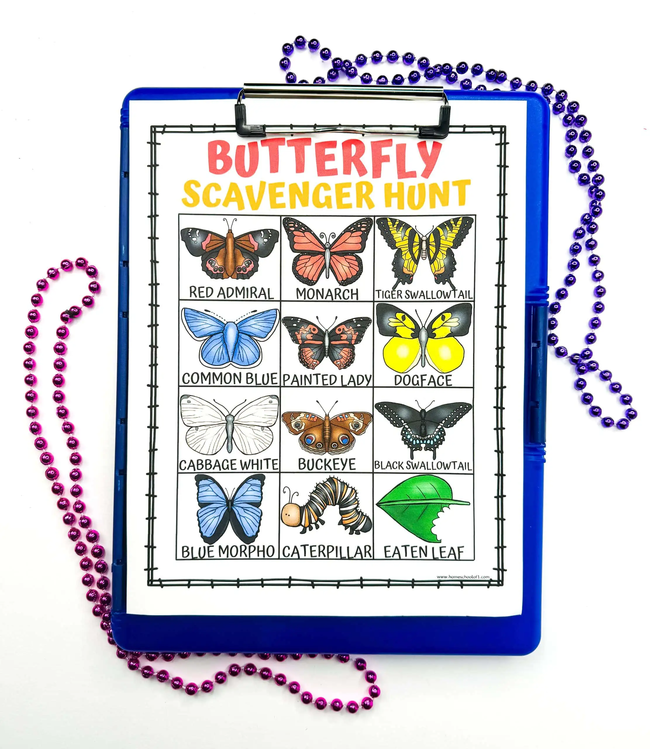 butterfly scavenger hunt free printable