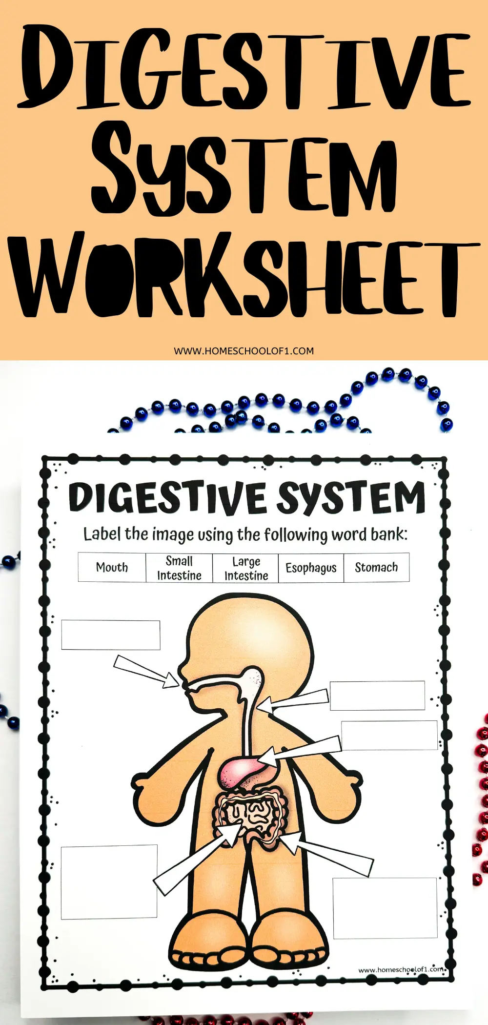 Educational worksheet titled 'DIGESTIVE SYSTEM WORKSHEET' from www.homeschoolof1.com. A cartoon outline of a human body with arrows pointing to the mouth, esophagus, stomach, small intestine, and large intestine with blank labels for students to fill in using a word bank provided at the top.