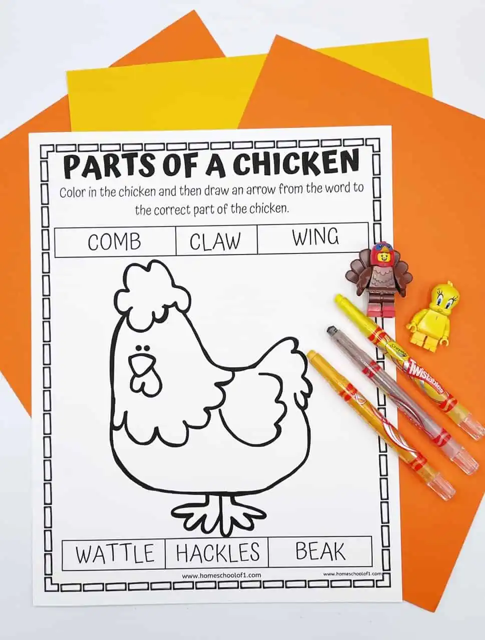 free parts of a chicken worksheets