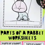 Educational worksheet titled 'PARTS OF A RABBIT' from homeschoolof1.com, featuring a cartoon rabbit diagram for children to color. The worksheet instructs to color the rabbit and write or match the parts of the rabbit - whiskers, eyes, tail, hindlegs, body, and forelegs - to their corresponding areas on the diagram. The image shows an example of the activity with some parts labeled, accompanied by colored pencils and small toy figures.