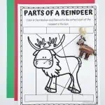 free parts of a reindeer worksheet