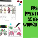 free printable science worksheets