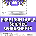 free science worksheets