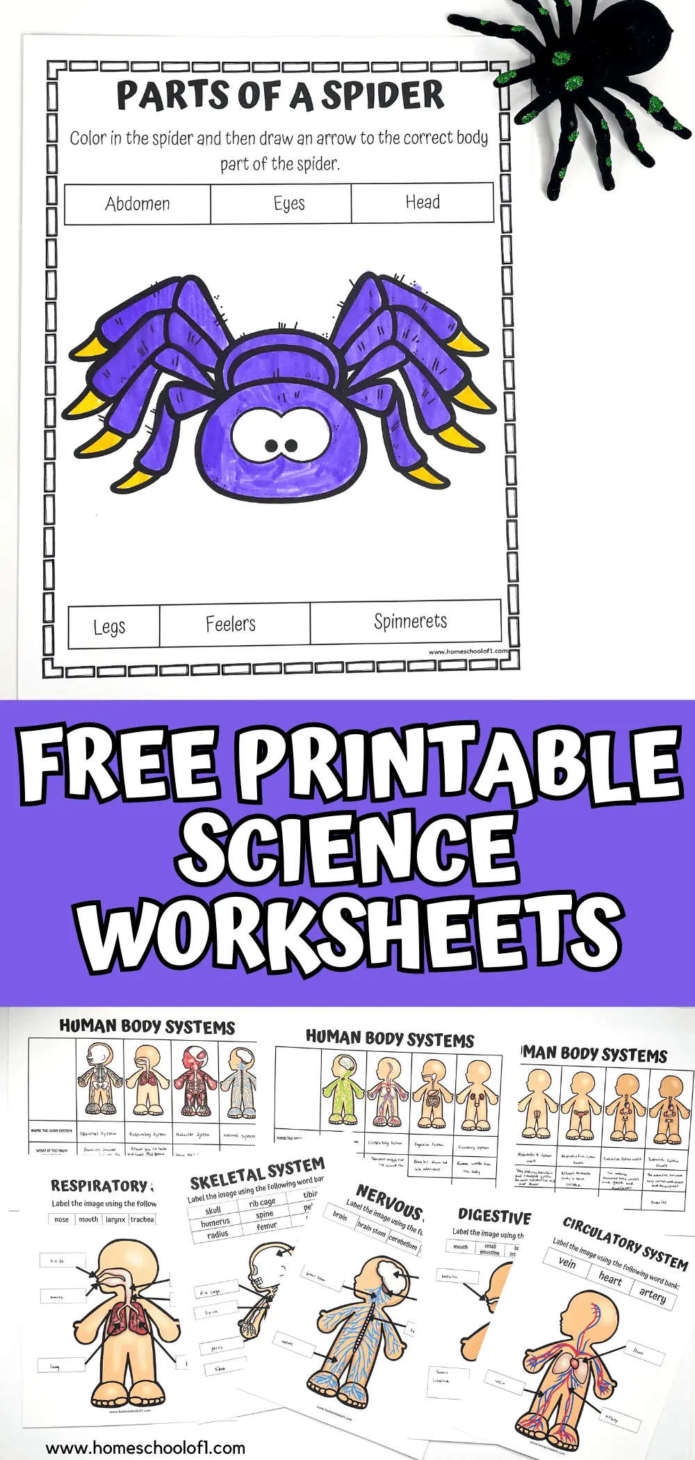 free science worksheets