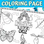 life cycle of a butterfly coloring page