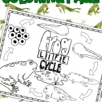 life cycle of a frog coloring page