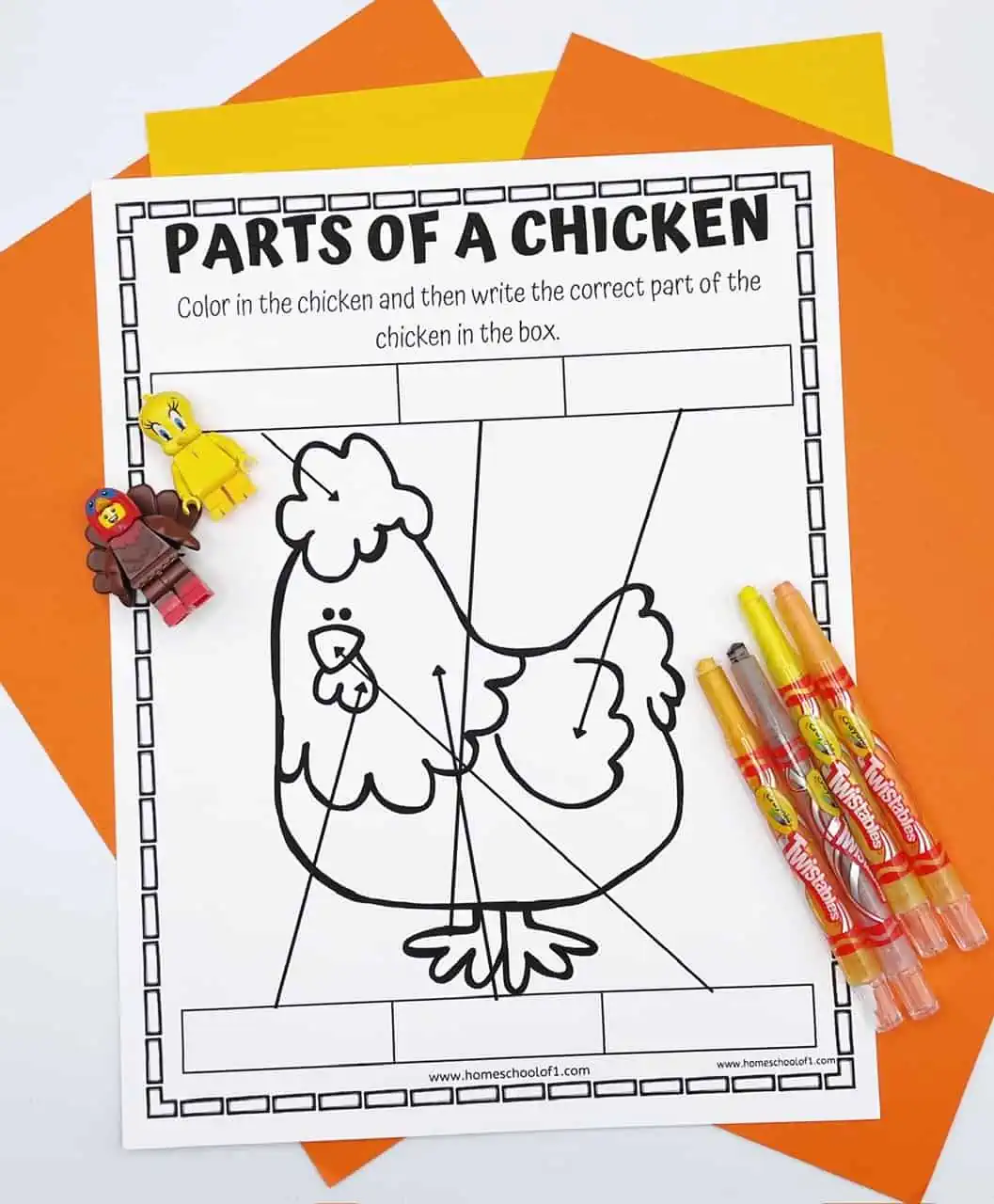 parts of a chicken labeling worksheet