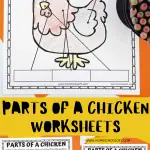 Educational activity sheets for children featuring 'Parts of a Chicken' with areas to color and write the names of parts. One sheet shows a partially colored illustration of a chicken with labeled arrows pointing to its wattle, hackles, beak, comb, claw, and wing. Below is the website 'homeschoolof1.com' and the text 'PARTS OF A CHICKEN WORKSHEETS' prominently displayed