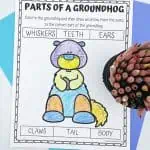 parts of a groundhog coloring page