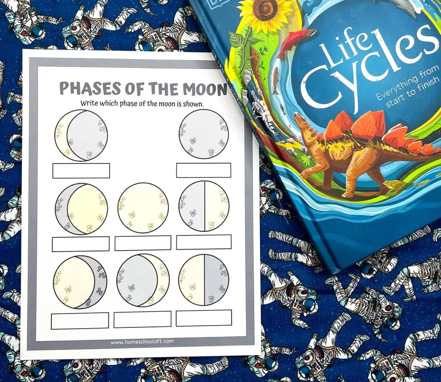 phases of the moon worksheet