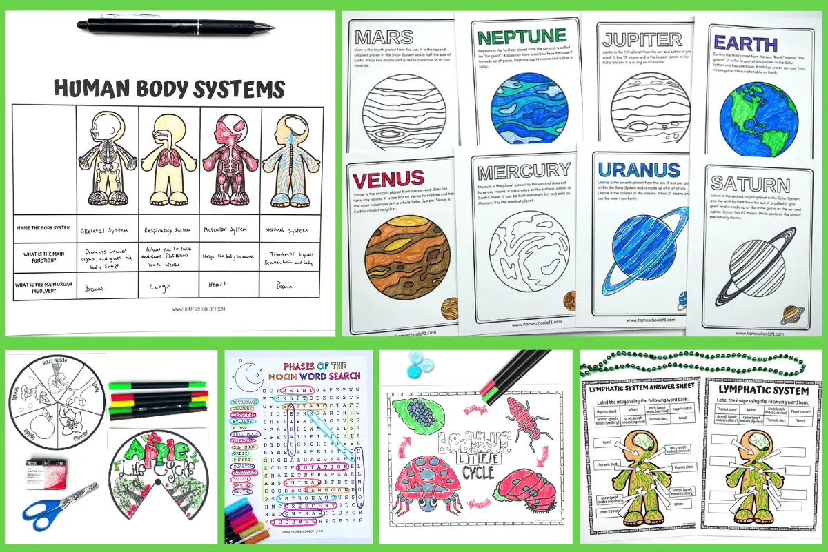 6 free science worksheets for kids including body systems, types of planets, moon phases, body parts worksheet