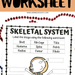 skeletal system educational worksheet, featuring a cartoon skeleton to be labeled, with a bold title